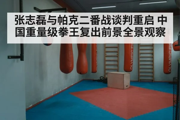 张志磊与帕克二番战谈判重启 中国重量级拳王复出前景全景观察
