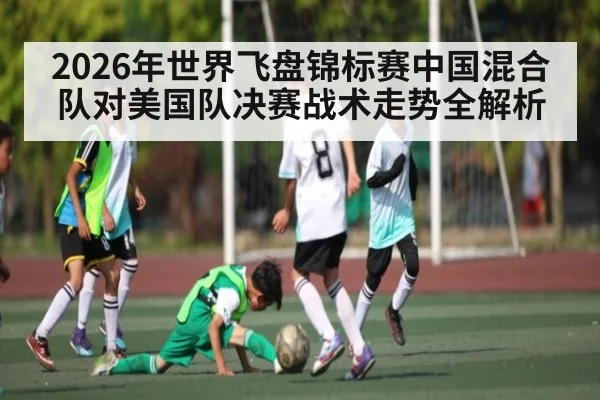 2026年世界飞盘锦标赛中国混合队对美国队决赛战术走势全解析